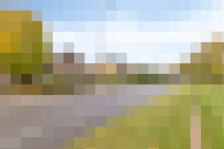 Maalbroek 134 C Roermond thumbnail 30