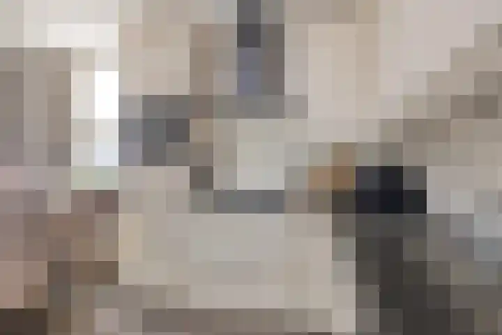 Maalderij 19 Lunteren thumbnail 10