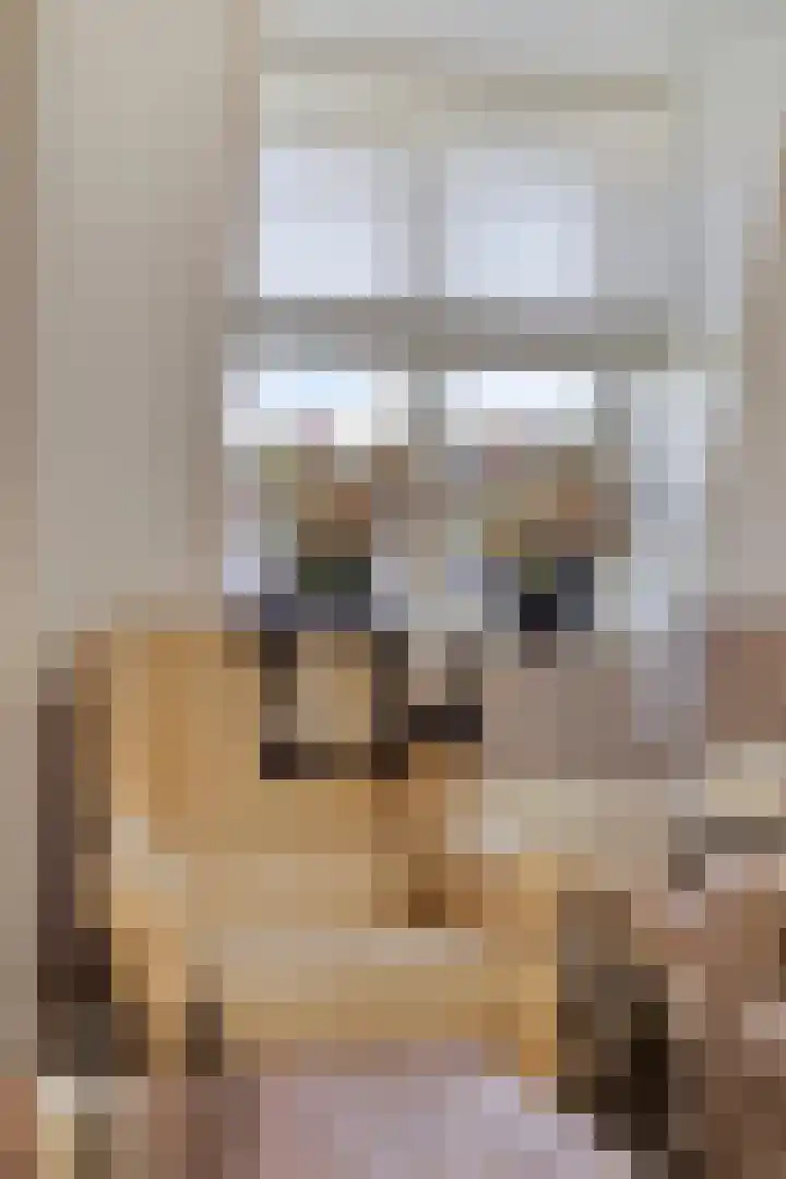 Maalderij 19 Lunteren thumbnail 8