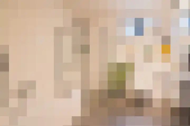 Maalderij 2 Hoogeloon thumbnail 11