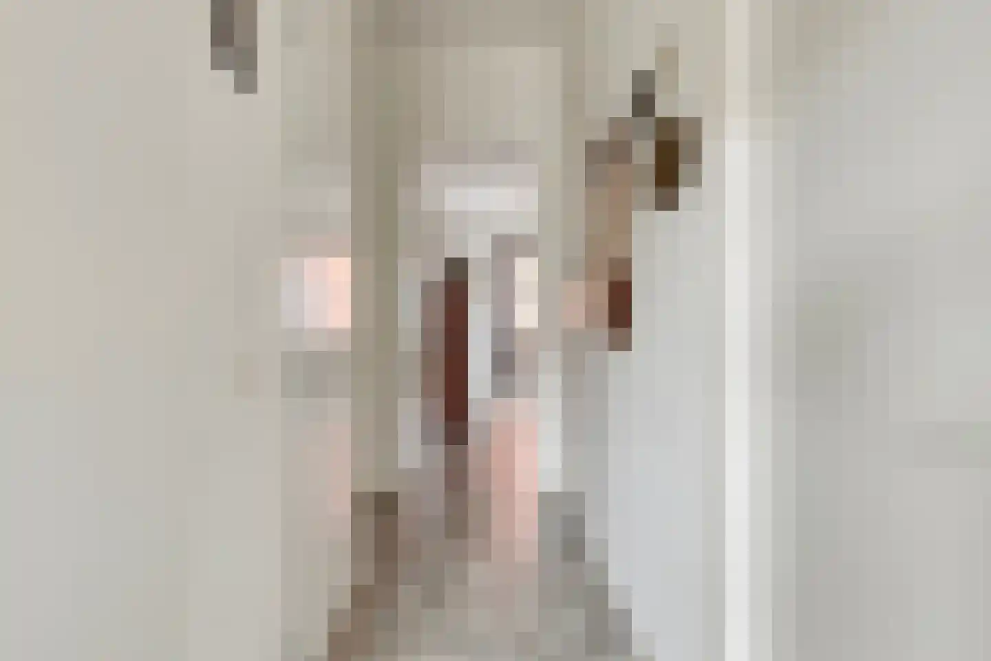 Maalderij 2 's-Heerenberg thumbnail 8