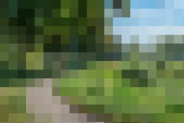 Maalderij 4 Eemnes thumbnail 35