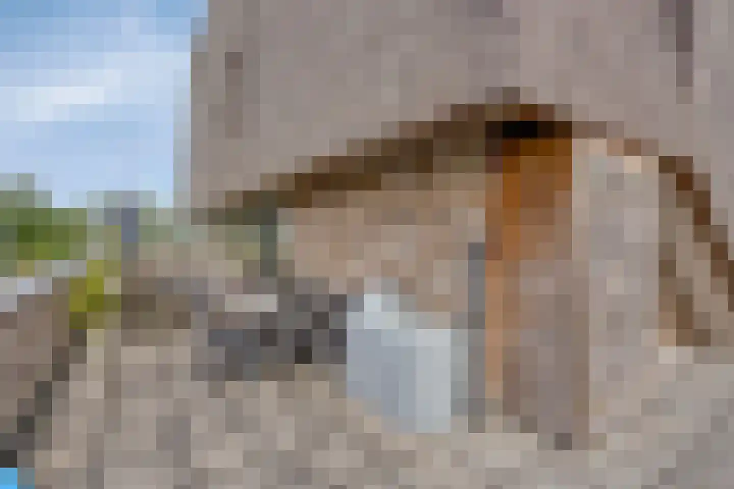 Maalderij 7 Leiderdorp thumbnail 56