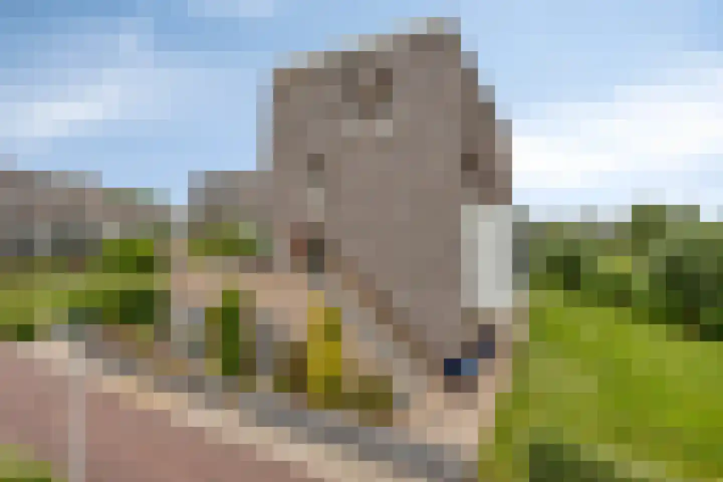 Maalderij 7 Leiderdorp thumbnail 6