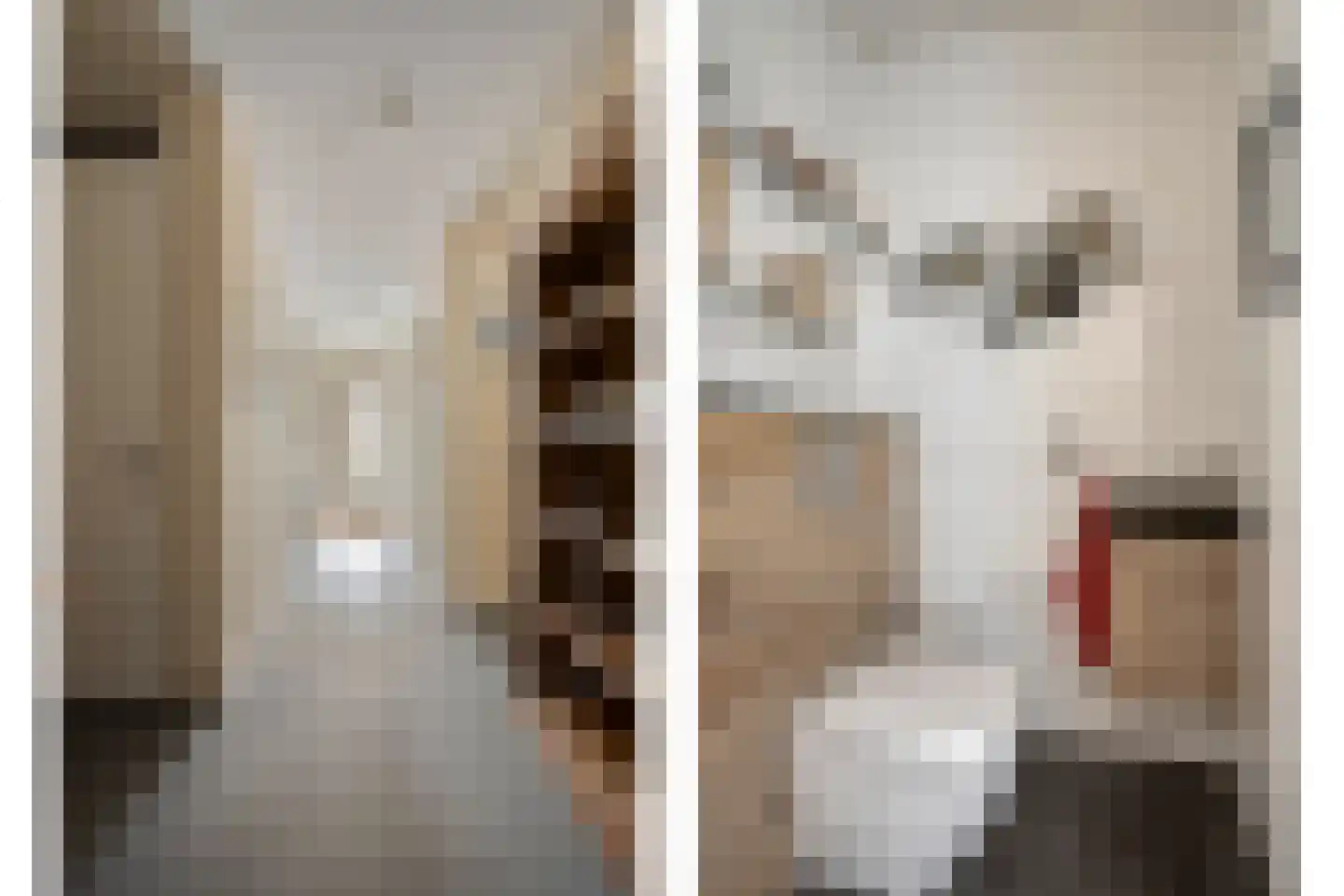 Maalderij 7 Leiderdorp thumbnail 9