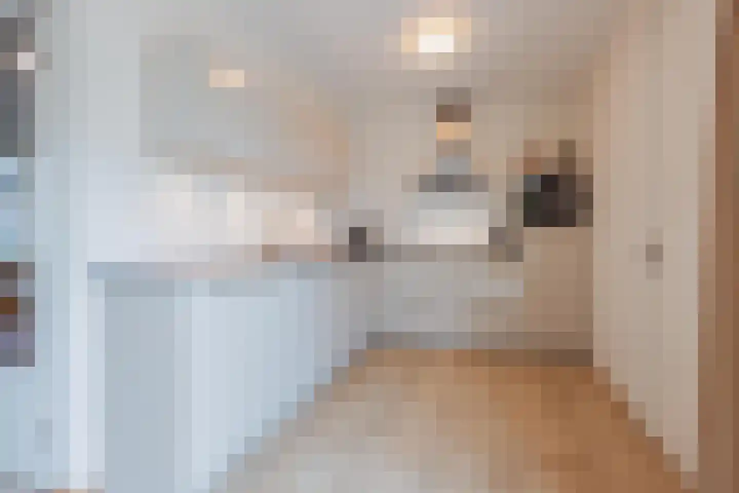 Maalderijplein 19 Raamsdonksveer thumbnail 17