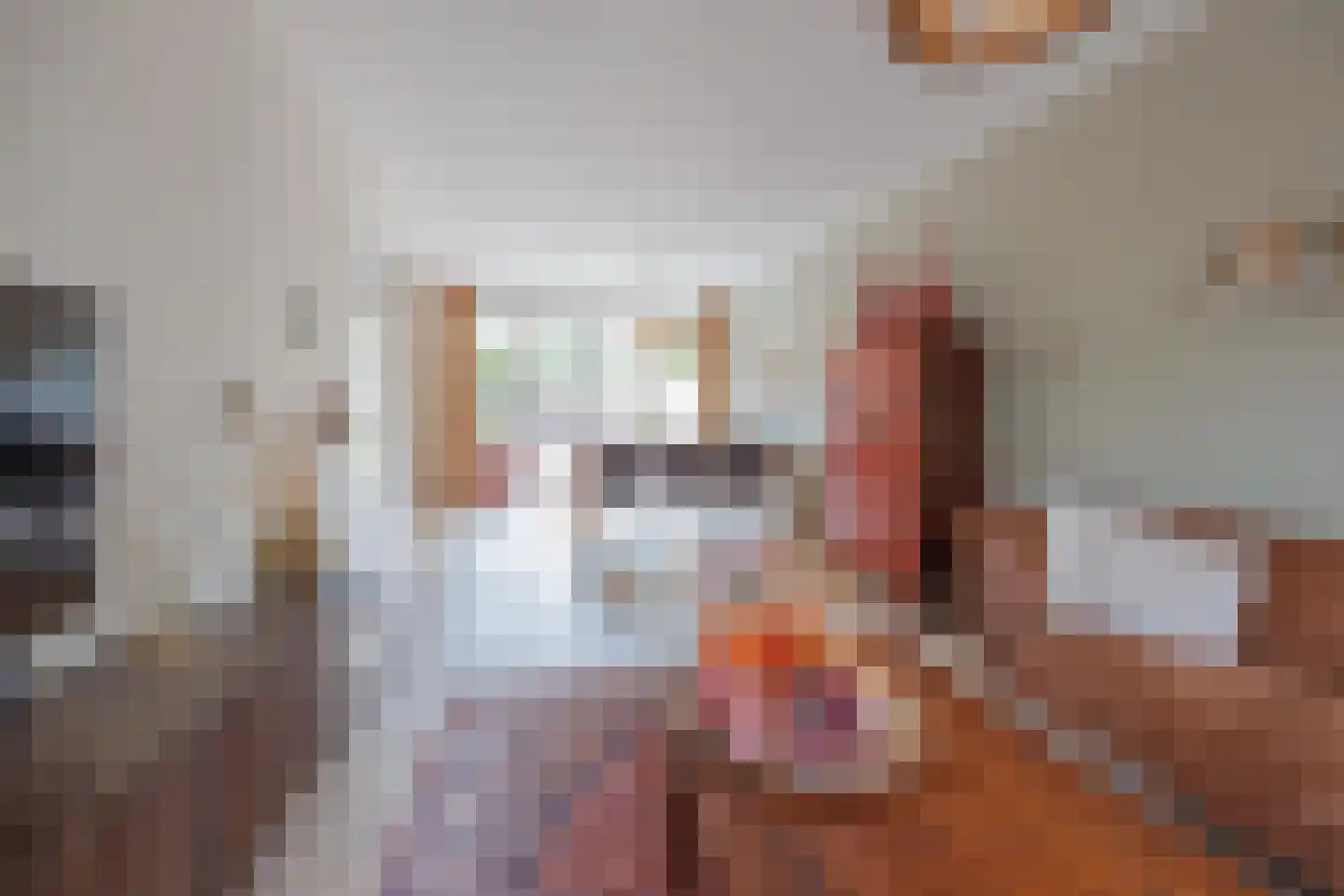 Maalderijplein 19 Raamsdonksveer thumbnail 21