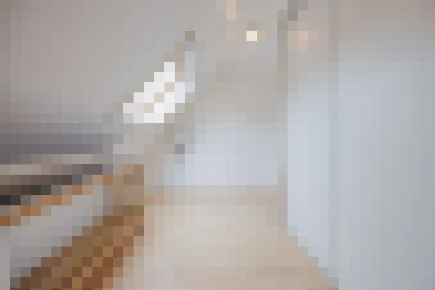 Maalderijplein 19 Raamsdonksveer thumbnail 36