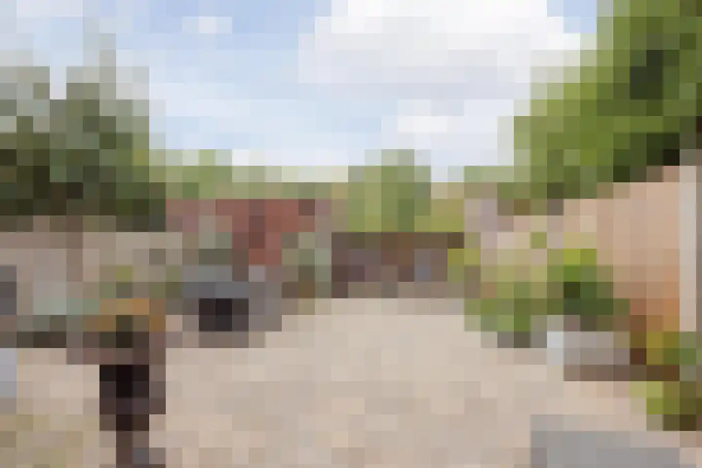 Maalderijplein 19 Raamsdonksveer thumbnail 43