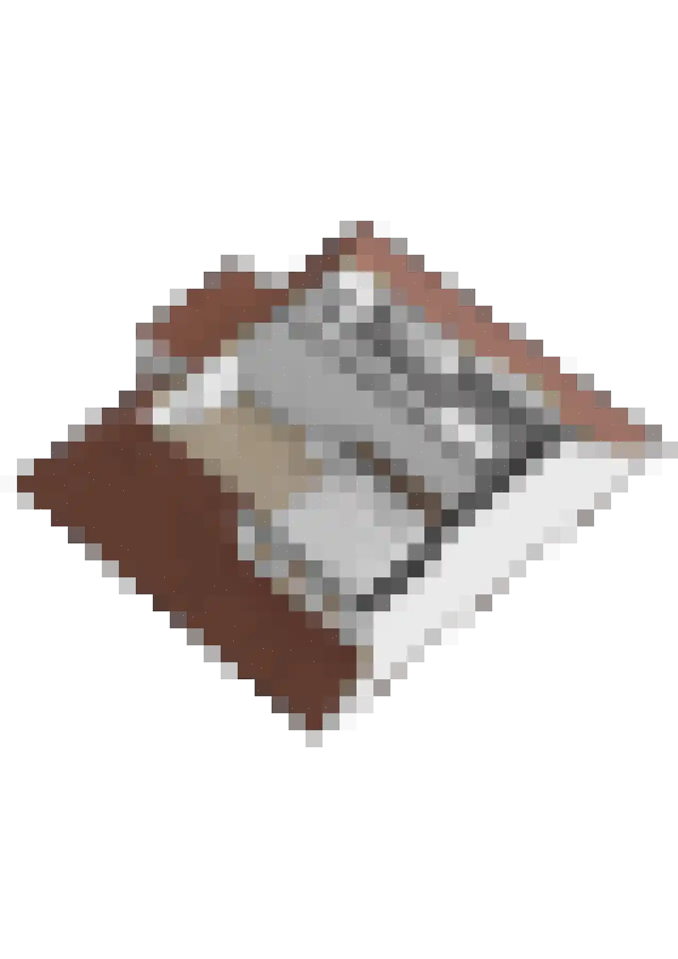 Maalderijplein 19 Raamsdonksveer thumbnail 63