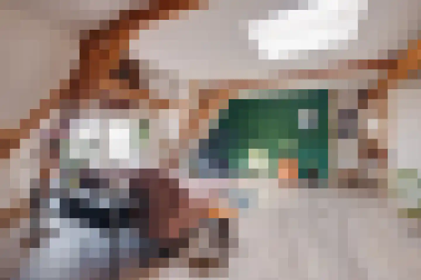 Maalderijstraat 18 Deventer thumbnail 19