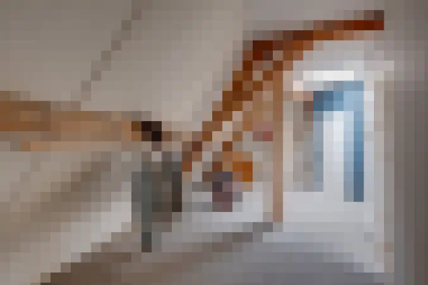 Maalderijstraat 18 Deventer thumbnail 39