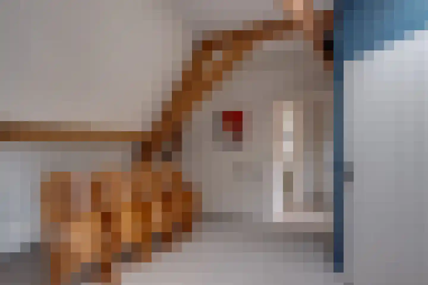 Maalderijstraat 18 Deventer thumbnail 39