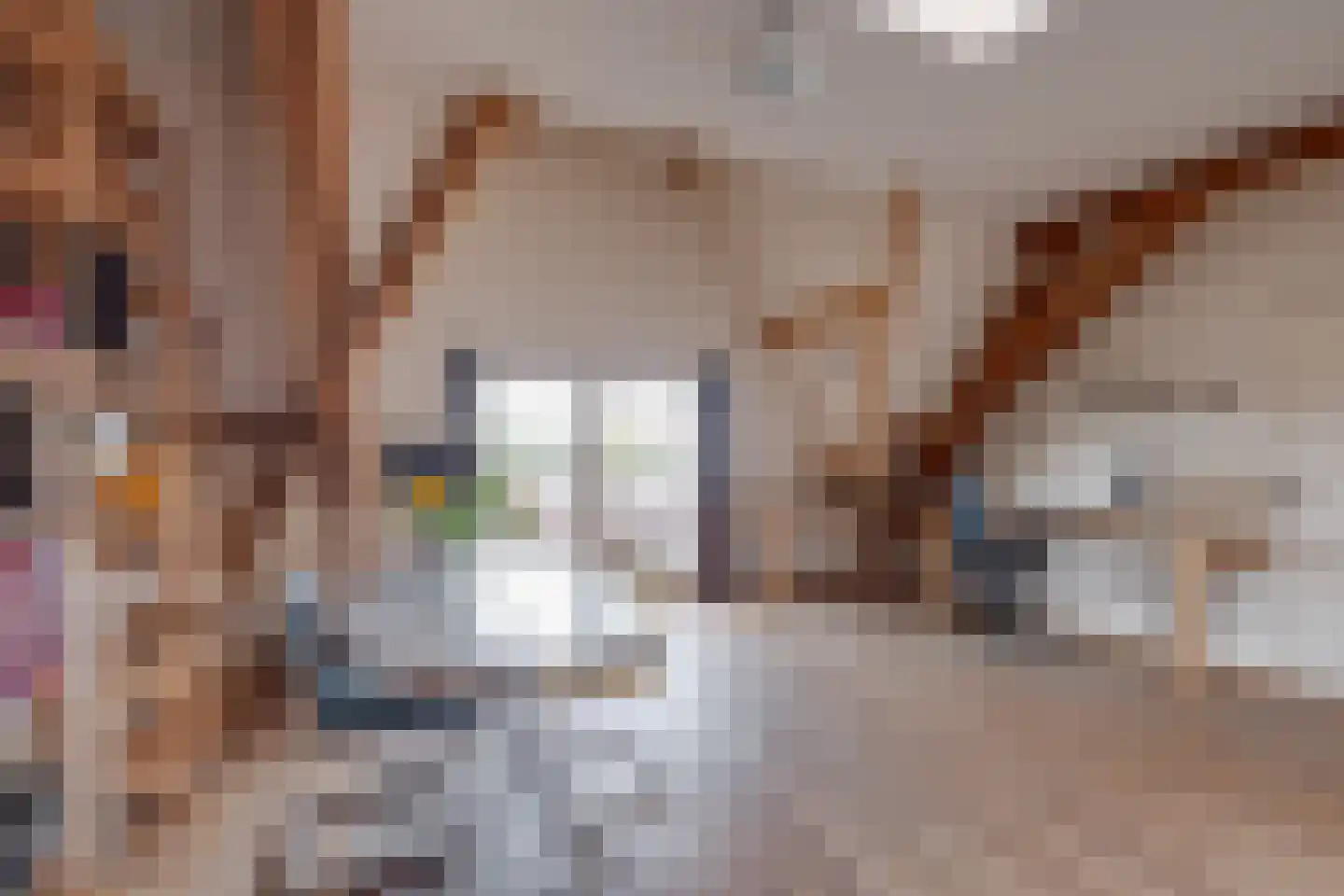Maalderijstraat 18 Deventer thumbnail 7