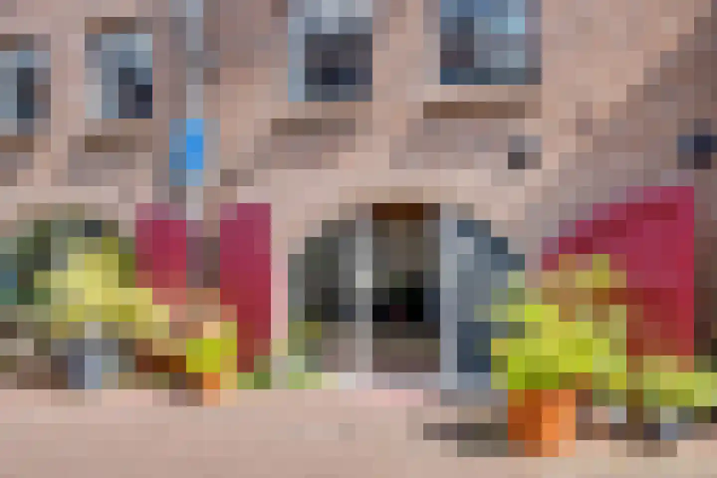 Maalderijstraat 18 Deventer thumbnail 9