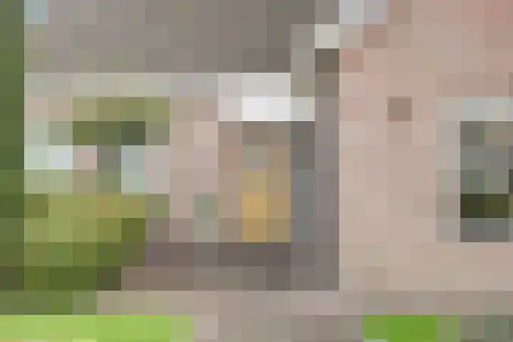 Maalderijstraat 24 Oosteind thumbnail 11