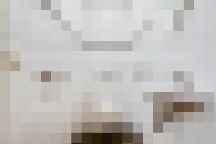 Maalderijstraat 24 Oosteind thumbnail 14