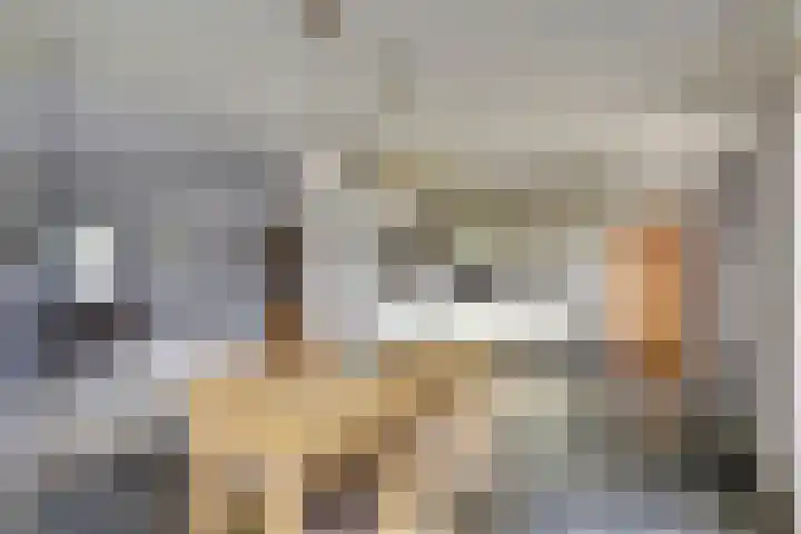 Maalderijstraat 24 Oosteind thumbnail 21
