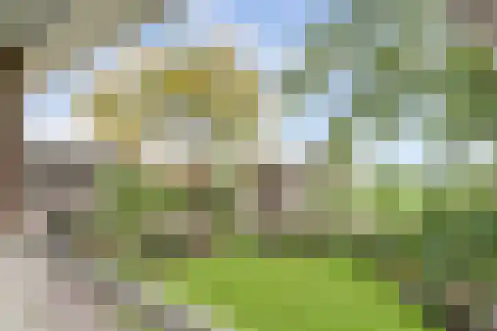 Maalderijstraat 24 Oosteind thumbnail 36