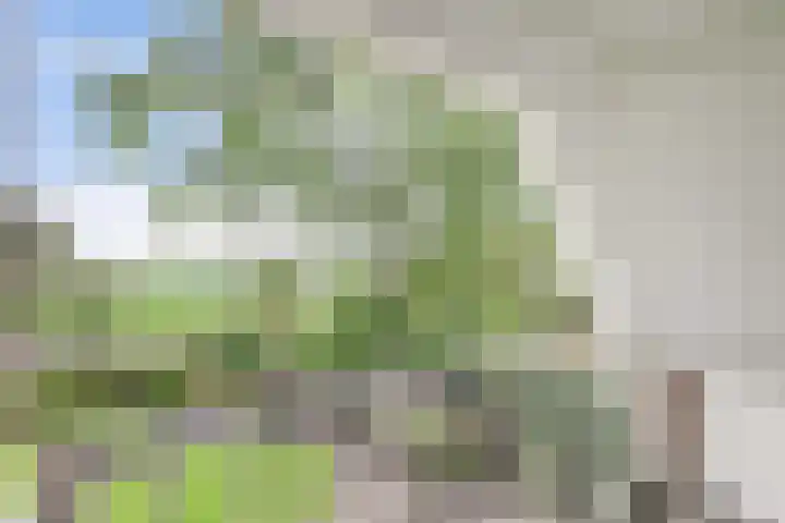 Maalderijstraat 24 Oosteind thumbnail 37