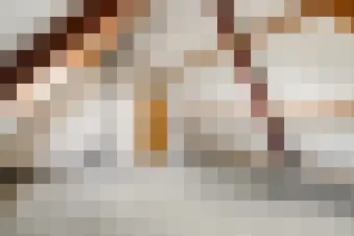 Maalderijstraat 24 Oosteind thumbnail 40