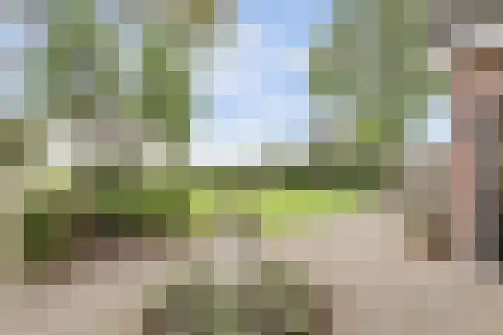 Maalderijstraat 24 Oosteind thumbnail 42