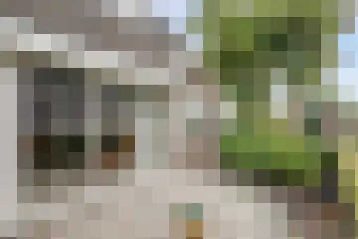Maalderijstraat 24 Oosteind thumbnail 43
