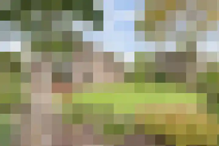 Maalderijstraat 24 Oosteind thumbnail 45