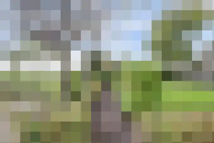 Maalderijstraat 24 Oosteind thumbnail 46