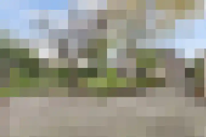 Maalderijstraat 24 Oosteind thumbnail 48