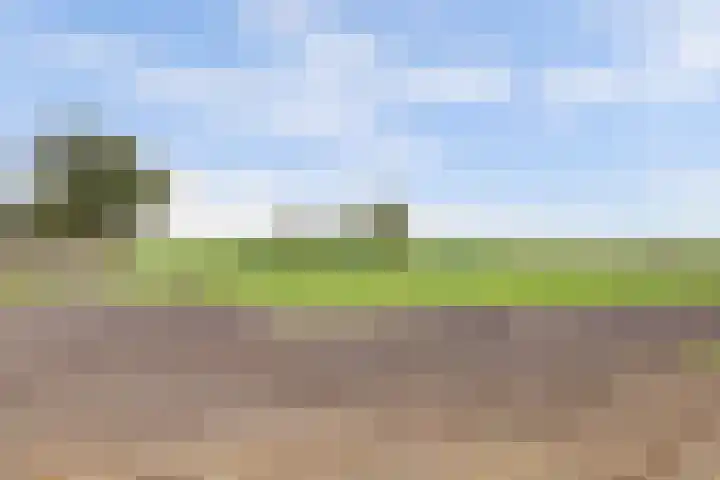 Maalderijstraat 24 Oosteind thumbnail 54