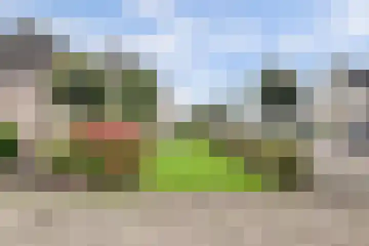 Maalderijstraat 24 Oosteind thumbnail 55