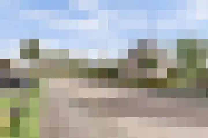 Maalderijstraat 24 Oosteind thumbnail 59