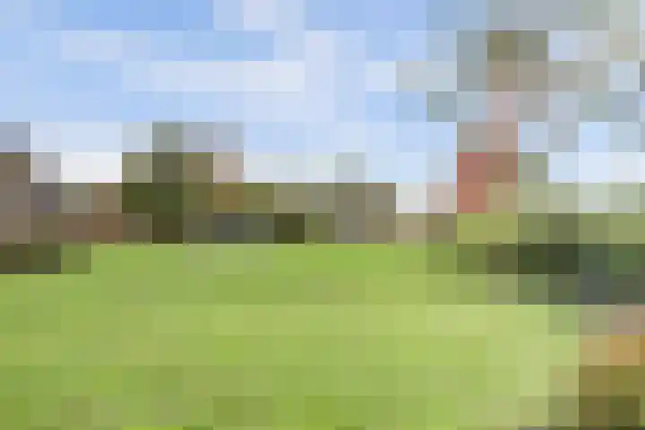 Maalderijstraat 24 Oosteind thumbnail 61