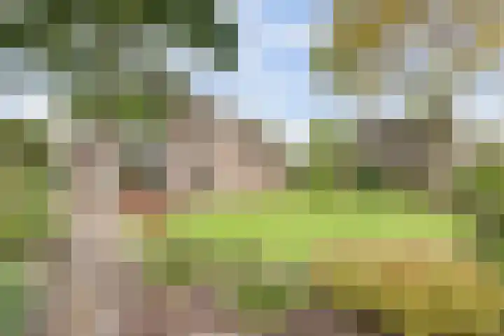 Maalderijstraat 24 Oosteind thumbnail 9