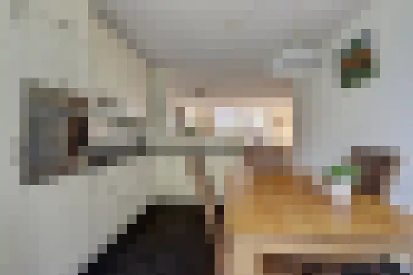 Maalderijstraat 30 Oosteind thumbnail 20