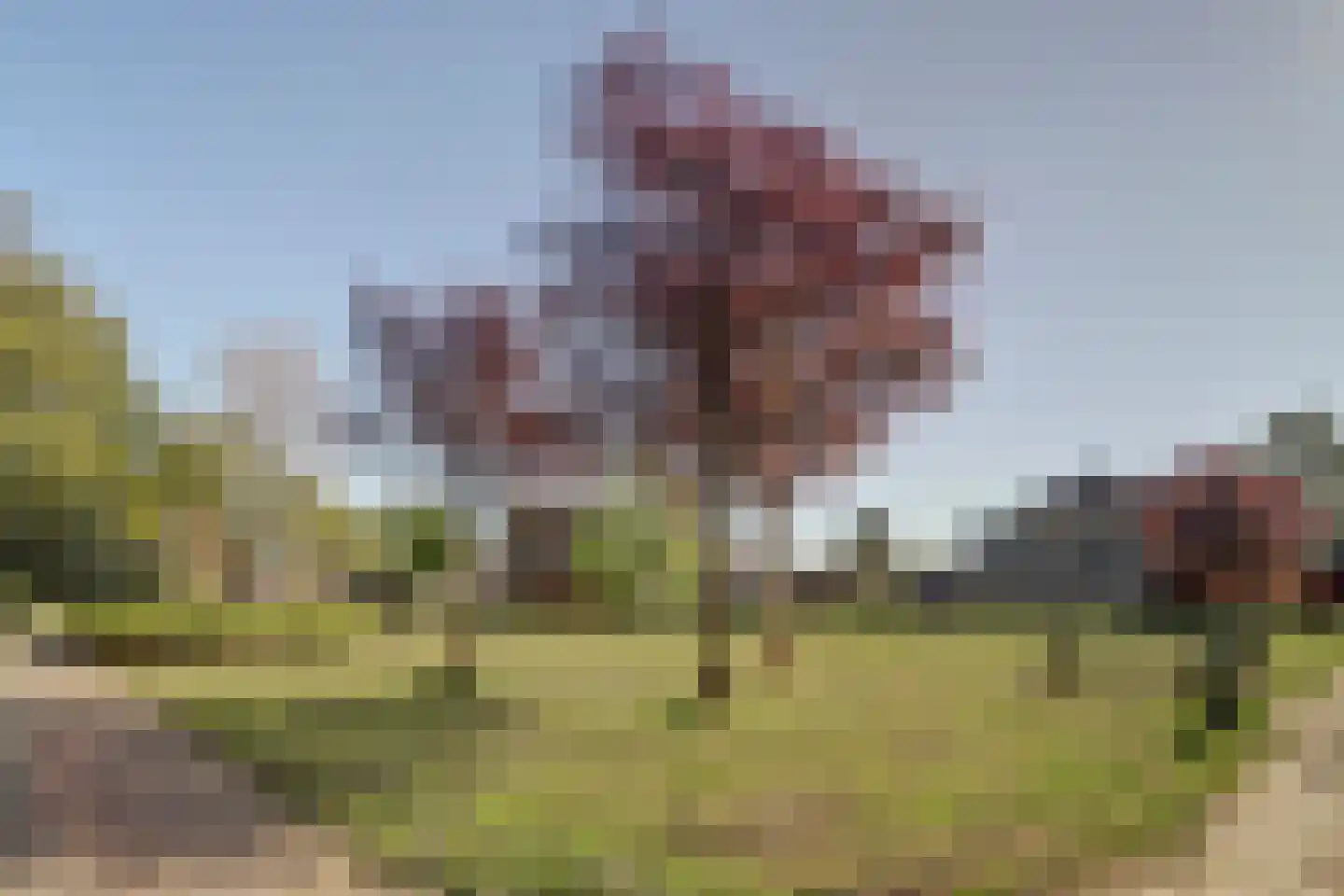 Maalderijstraat 30 Oosteind thumbnail 40