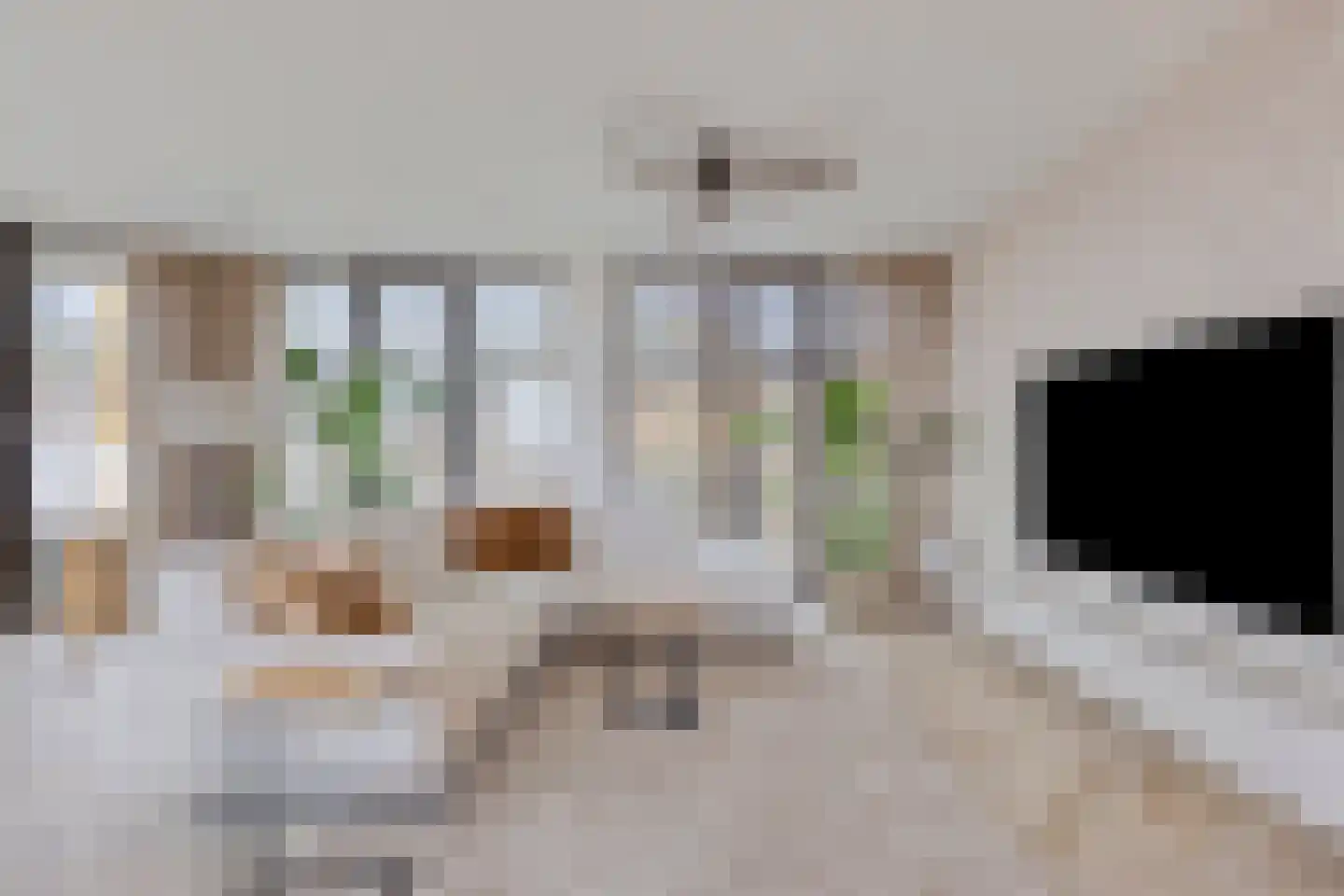 Maalderijstraat 31 Leiden thumbnail 10