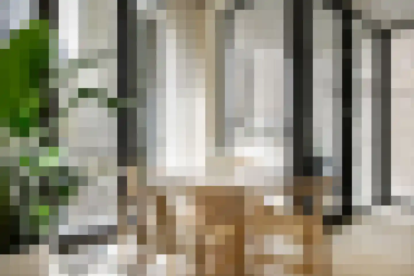 Maalderijstraat 33 Leiden thumbnail 11
