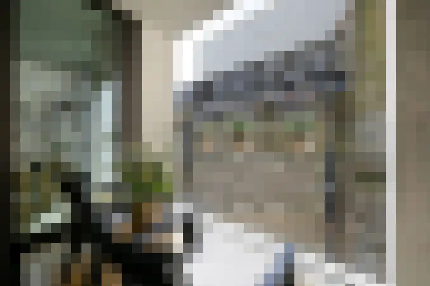 Maalderijstraat 33 Leiden thumbnail 26