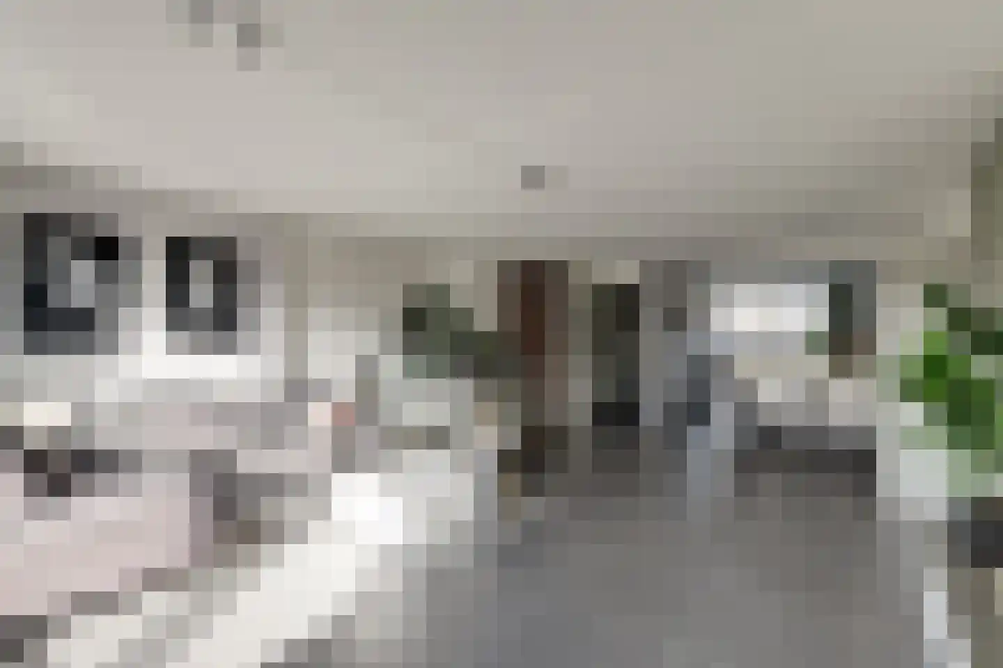 Maalderijstraat 36 Oosteind thumbnail 14