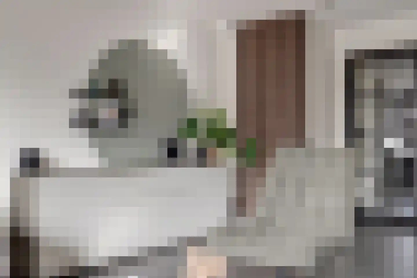 Maalderijstraat 36 Oosteind thumbnail 15