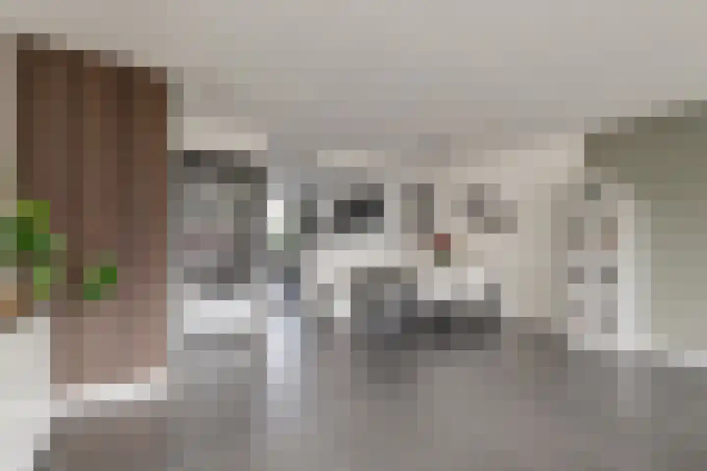 Maalderijstraat 36 Oosteind thumbnail 16