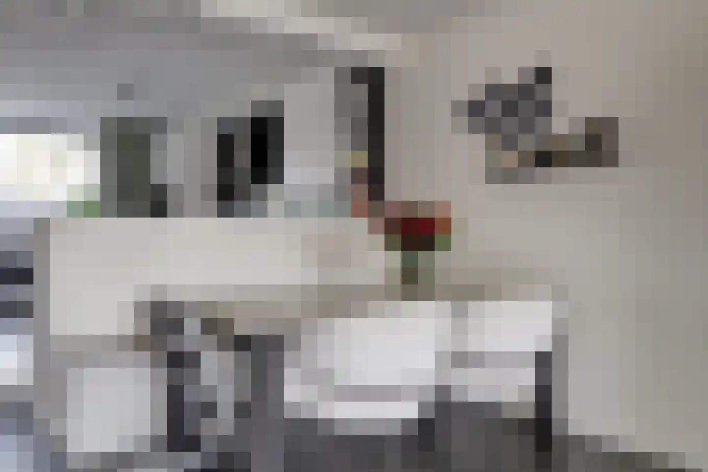 Maalderijstraat 36 Oosteind thumbnail 17