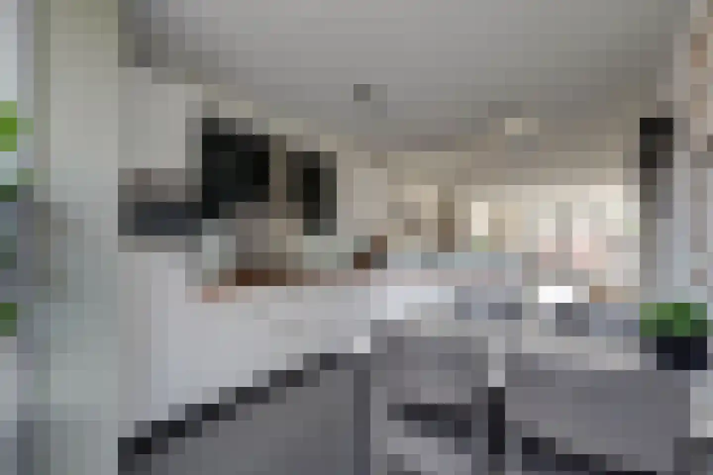 Maalderijstraat 36 Oosteind thumbnail 19