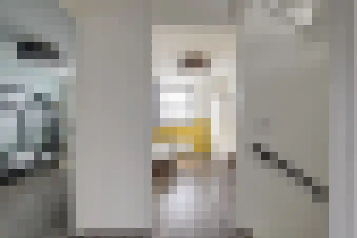 Maalderijstraat 36 Oosteind thumbnail 23