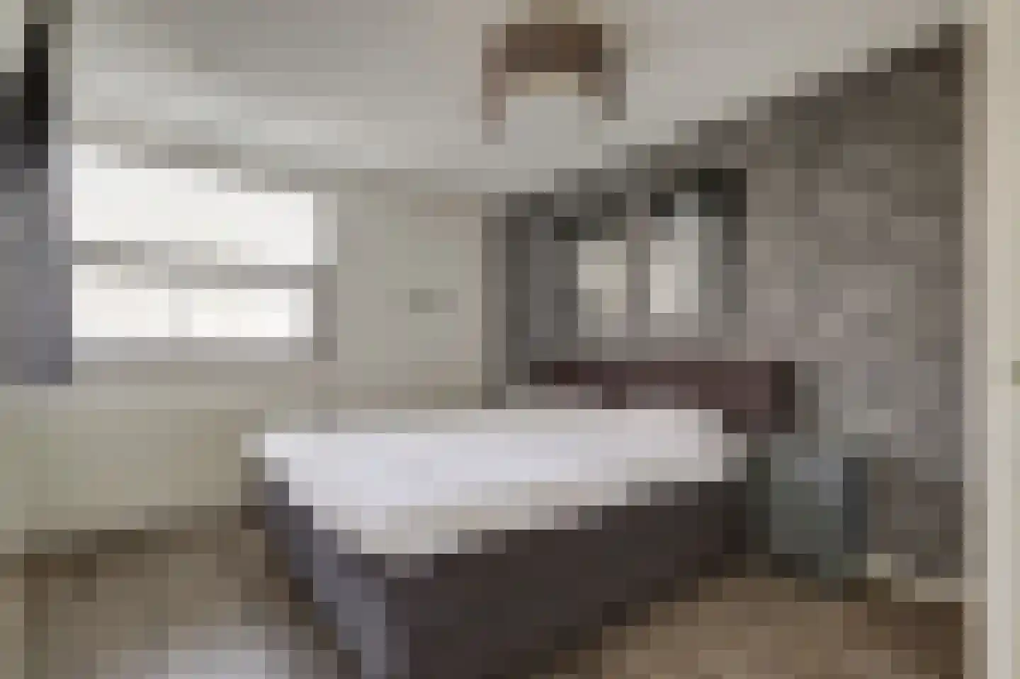 Maalderijstraat 36 Oosteind thumbnail 25