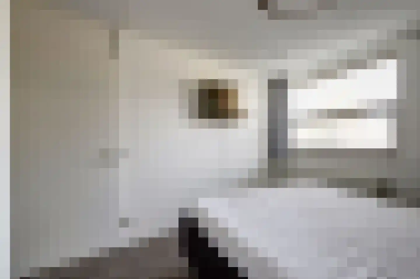 Maalderijstraat 36 Oosteind thumbnail 26