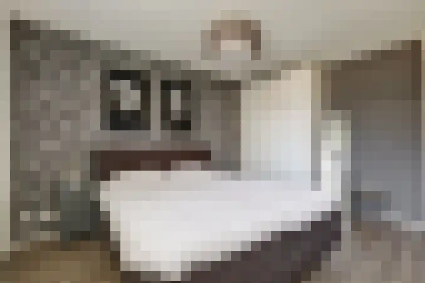 Maalderijstraat 36 Oosteind thumbnail 27