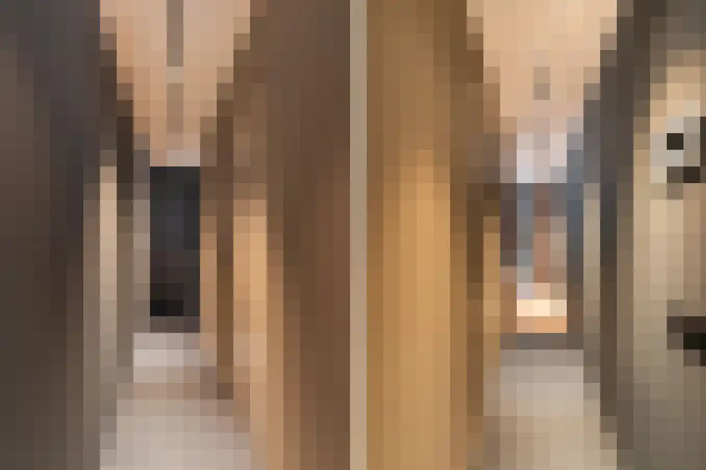 Maalderijstraat 39 Leiden thumbnail 4